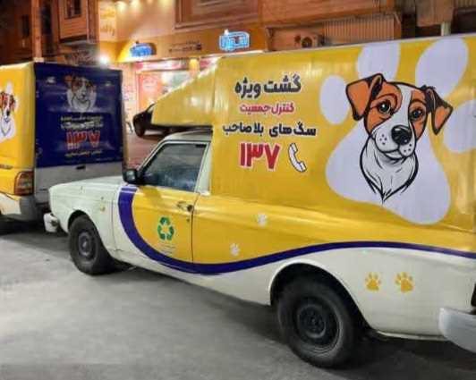 پایان ولگردی سگ‌ها در ساری